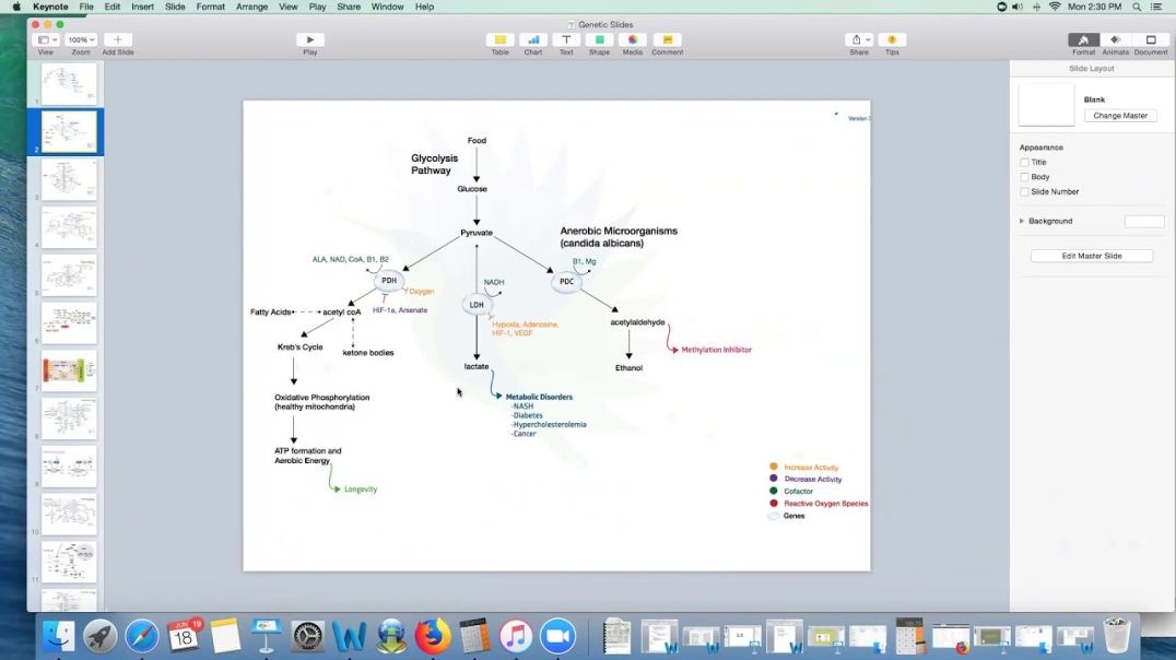 Dr. Kevin Conners - Cancer Genes - Section 2 - Energy Genes