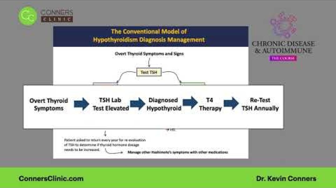 Understanding Hashimoto's BASICS | Conners Clinic - Alternative Health Coaching
