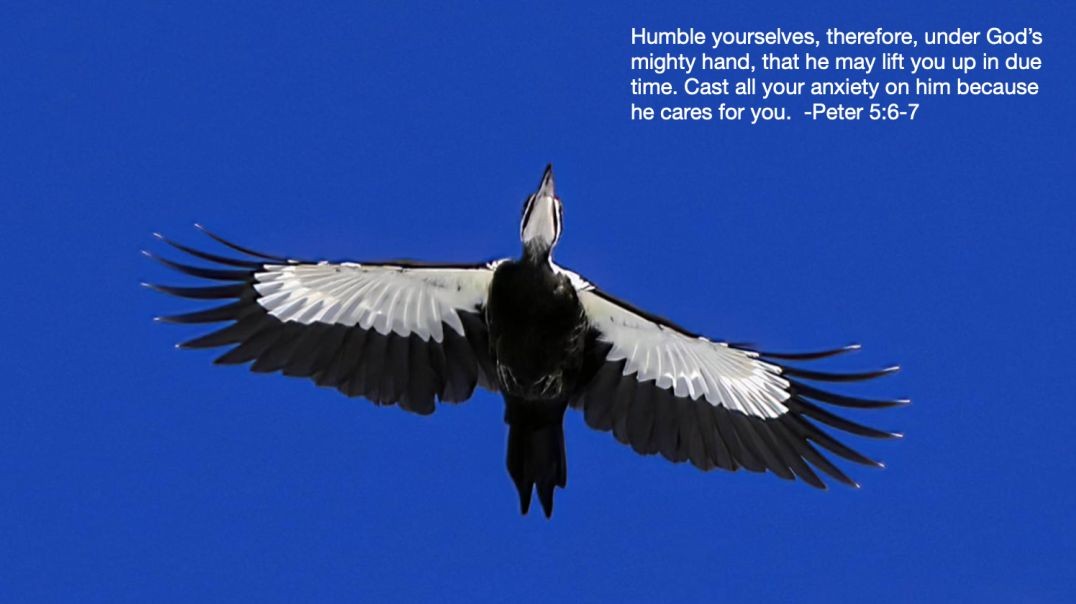 Bible Quote of the Day 9-18-23