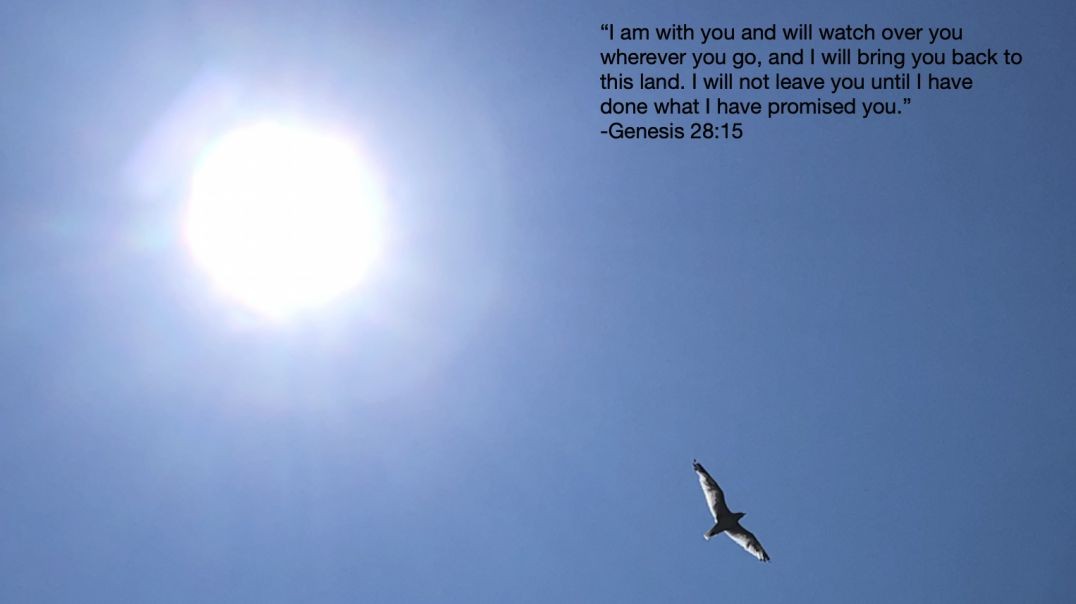 Bible Quote of the Day     5
