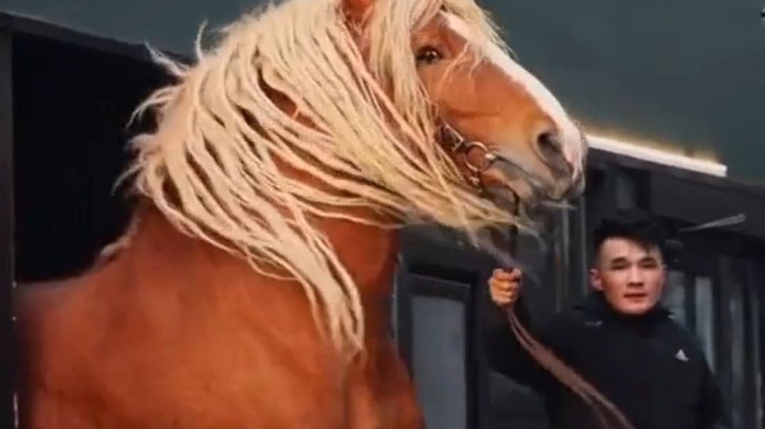 Now Here's a Beautiful Blond!