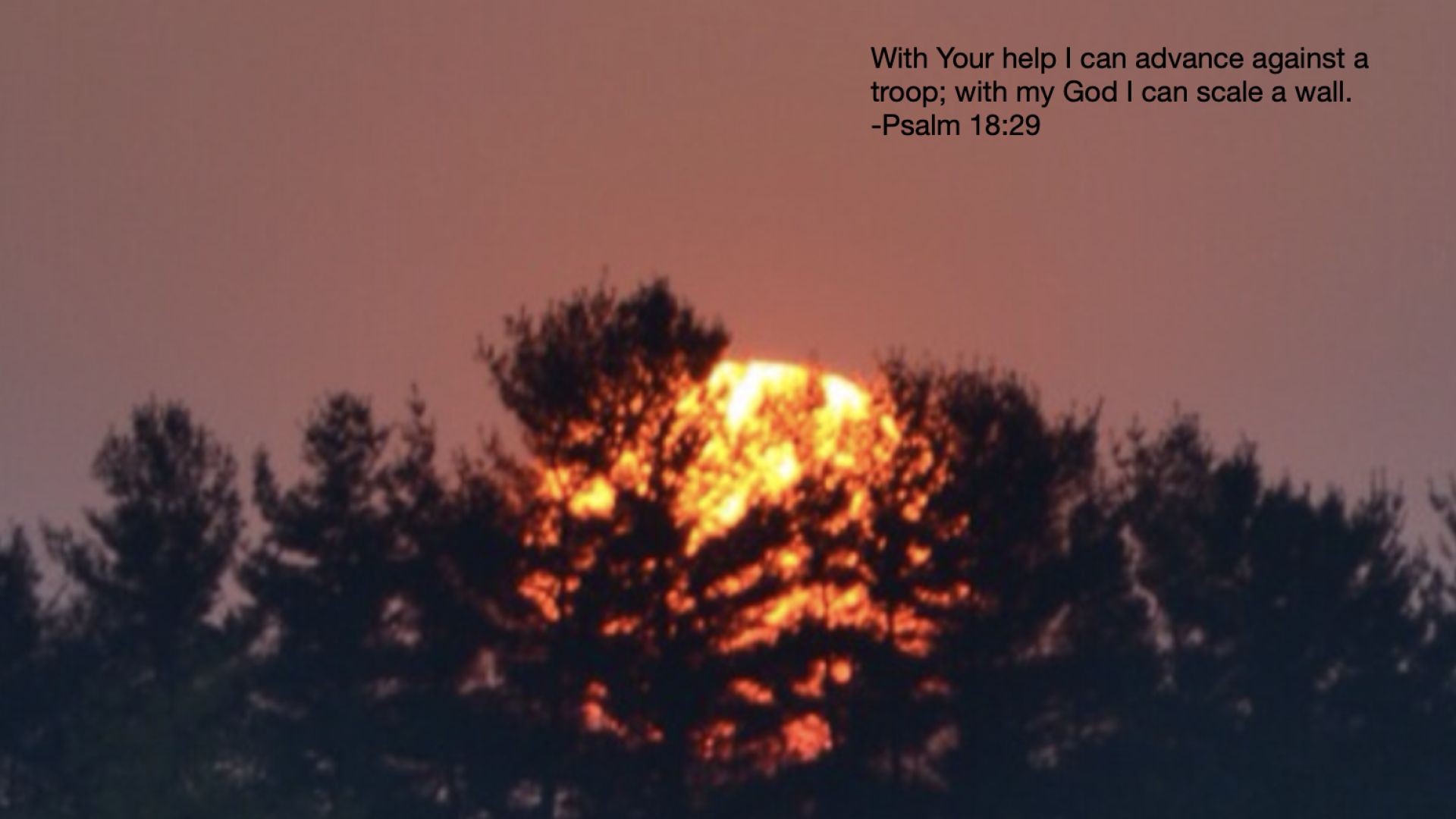 Bible Quote of the Day  10-9-23