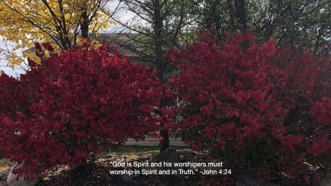Bible Quote of the Day 10-27-23