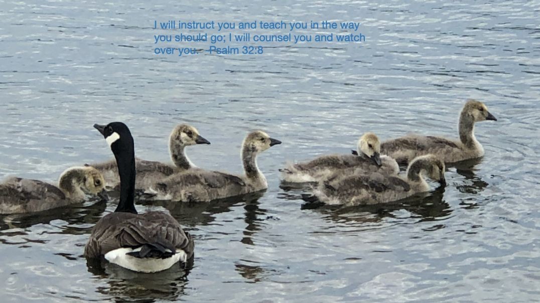 Bible Quote of the Day