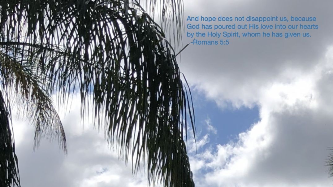 Bible Quote of the Day 11-8-23