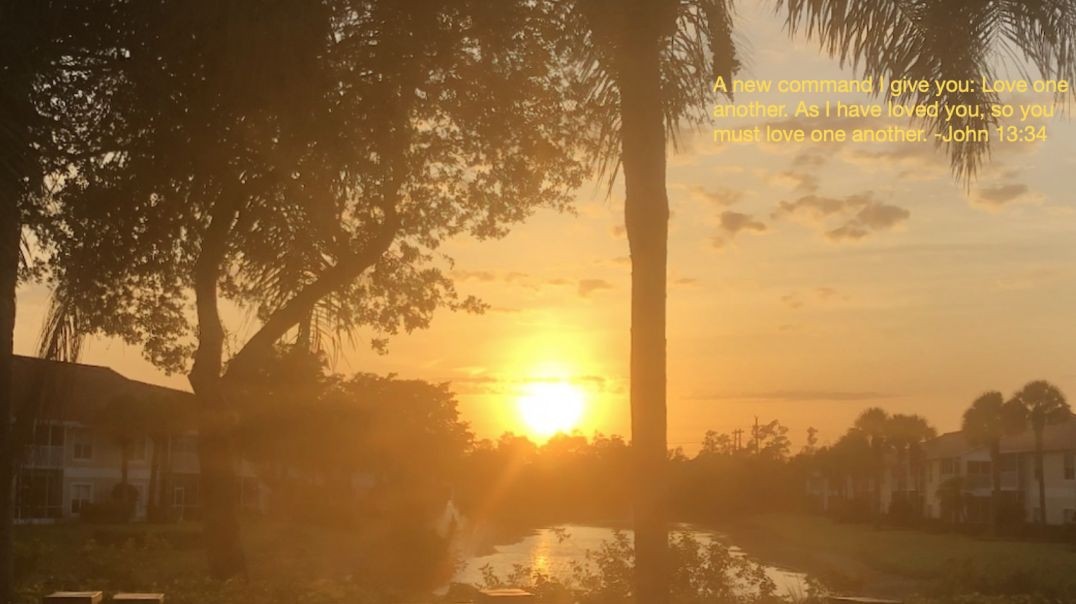 Bible Quote of the Day 12-13-23