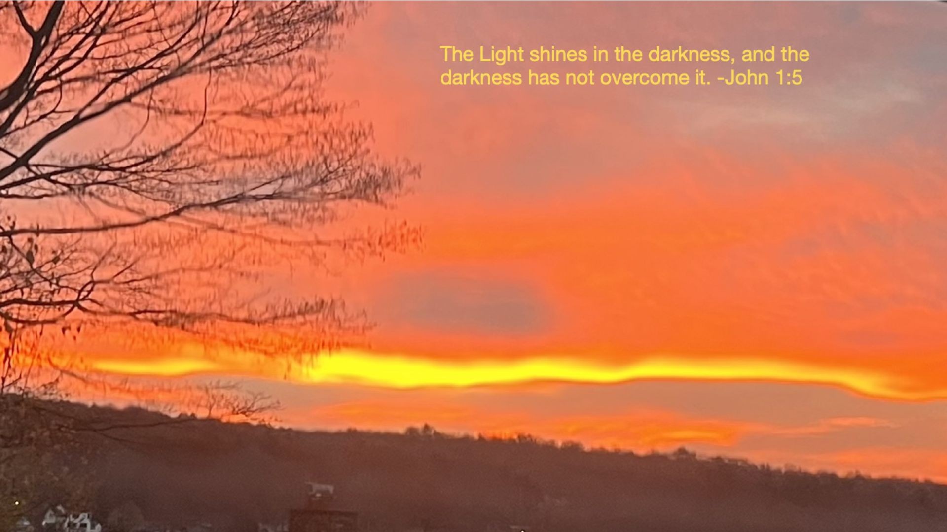 Bible Quote of the Day 12-2-23
