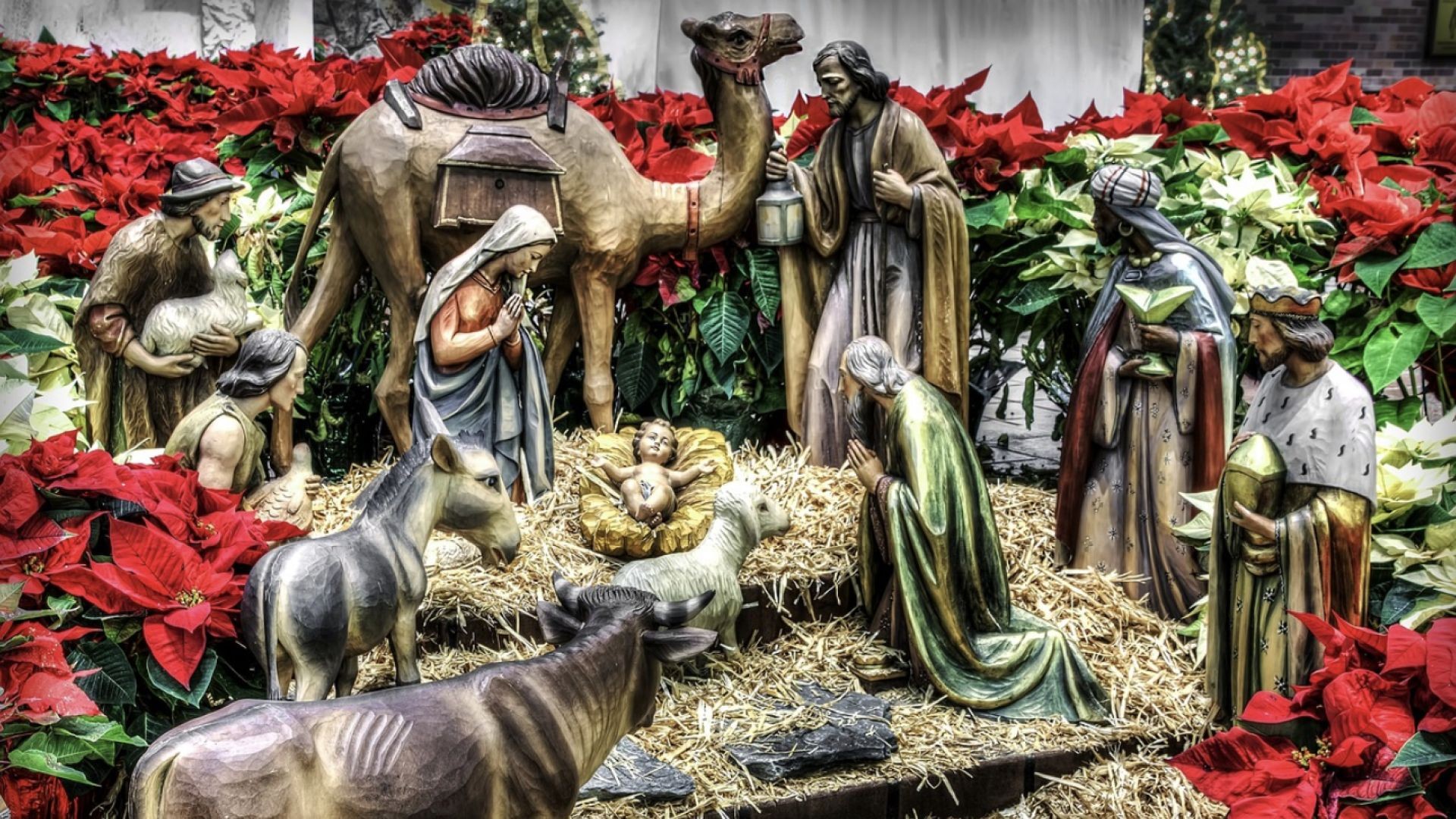 Bible Quote of the Day 12-24-25 Merry Christmas Eve!!