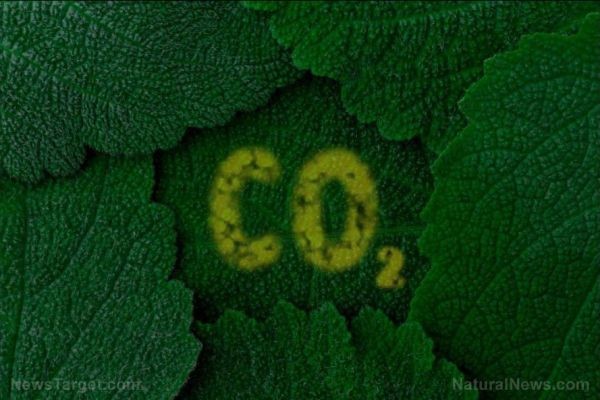 Physicist Freeman Dyson explains why increased carbon dioxide in the atmosphere is good for the planet