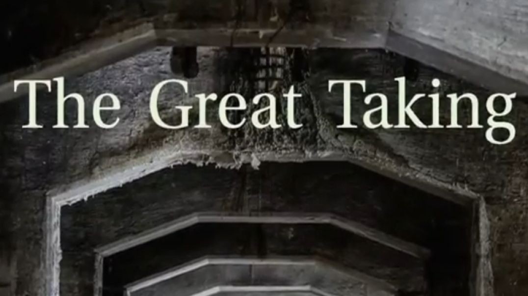 "The Great Taking" - The Book About the Stock Market