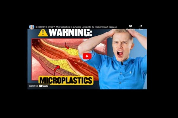 How to Detox Microplastics